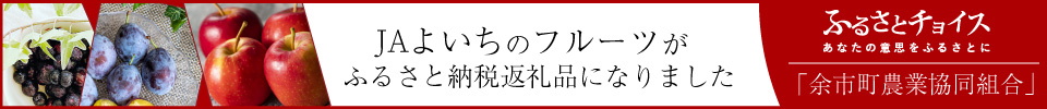 ふるさと納税